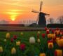 De invloed van sociale media op privacy en lichaamsbeeld